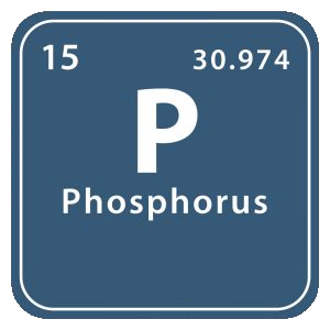 Mineralet fosfor (phosphorus)