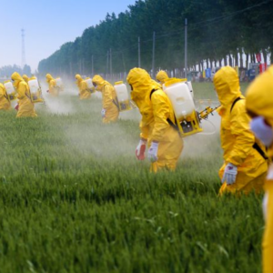 Brug af pesticider forurener vores grundvand og vores sundhed.