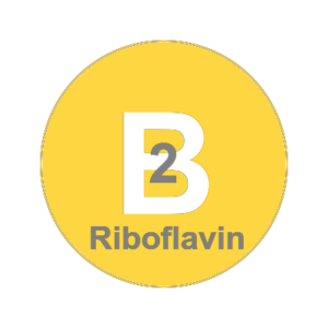 Vitamin b2 - Riboflavin
